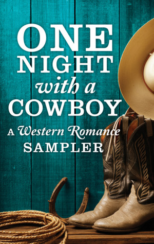 One Night with a Cowboy Sampler